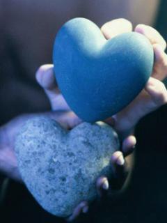 Other Wallpapers 0593